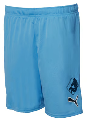 Herren Randers FC 2024/25 Heimshorts