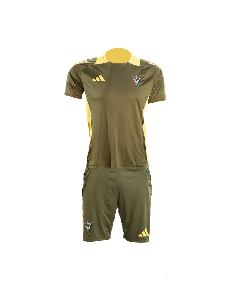 Damen Mirandés 2024/25 Dritt Authentisches Trainingsshirt - Grün