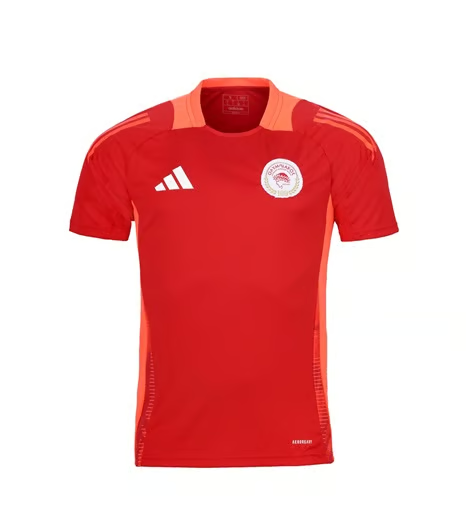 Damen Olympiacos FC 2024/25 Drittes Authentisches Trainingsshirt - Rot