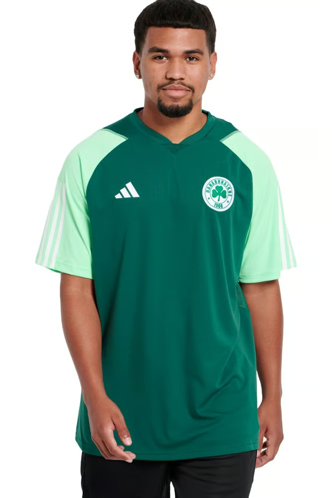 Damen Panathinaikos FC 2023/24 Drittes Authentisches Trainingsshirt - Grün
