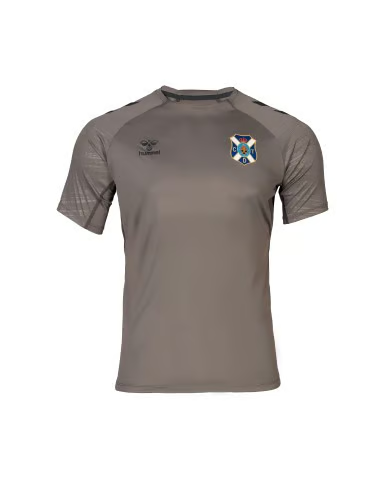 Damen CD Tenerife 2024/25 Dritt Authentisches Trainingsshirt - Grau