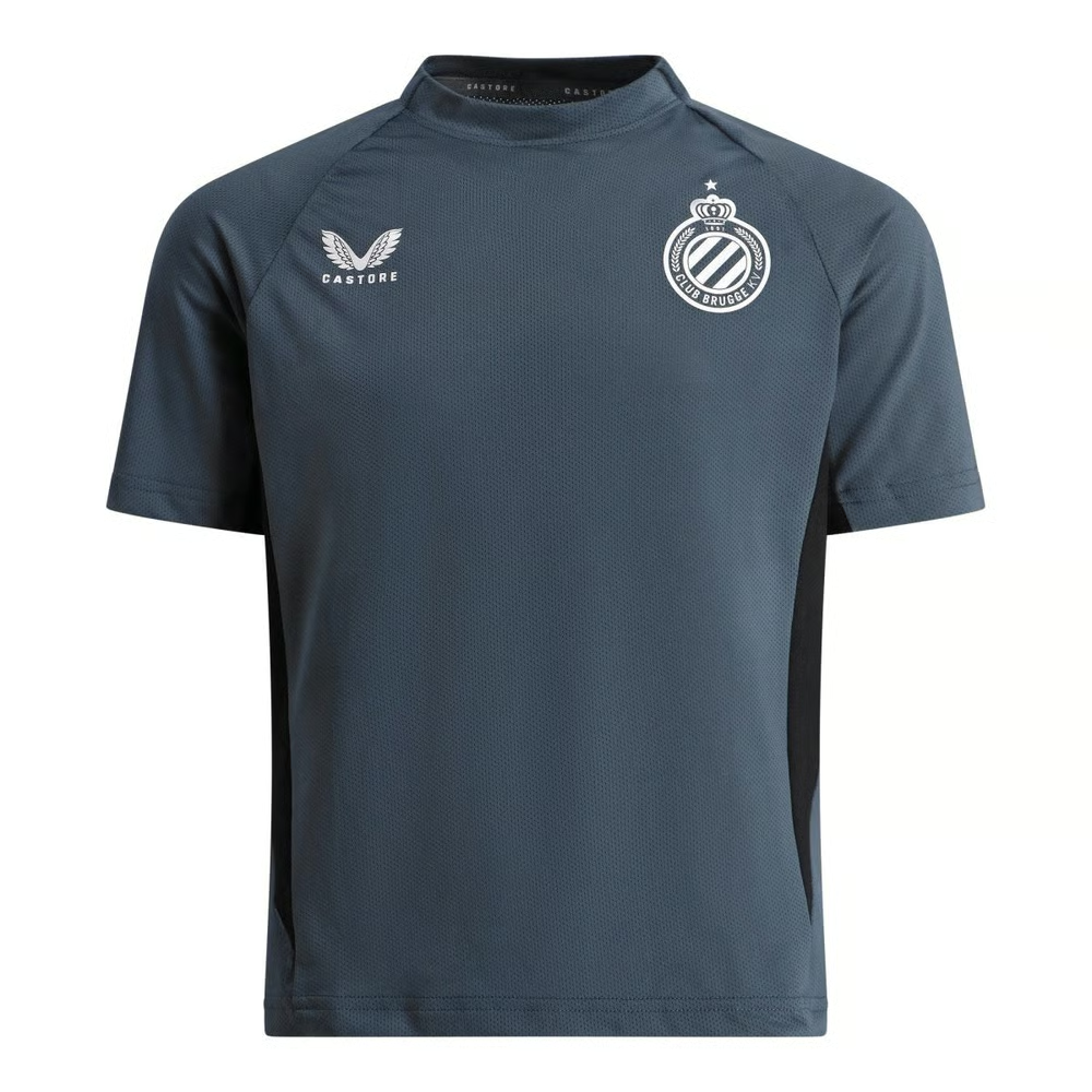 Herren Club Brugge 2024/25 Drittes Authentisches Trainingsshirt - Grau