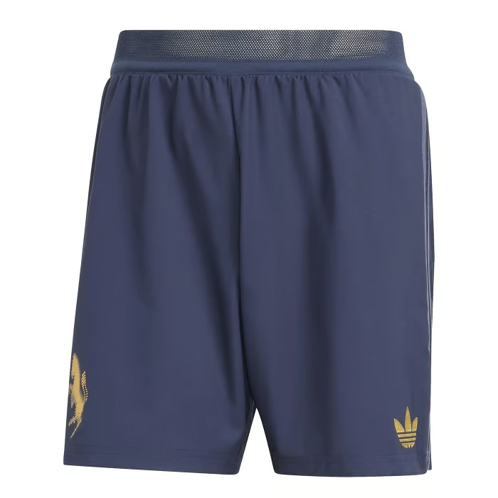 Herren Juventus 2024/25 Drittshorts Authentic