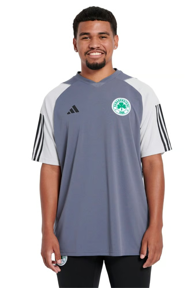 Damen Panathinaikos FC 2023/24 Drittes Authentisches Trainingsshirt - Grau