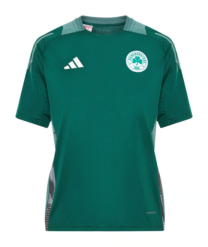 Herren Panathinaikos FC 2024/25 Drittes Authentisches Trainingsshirt - Grün