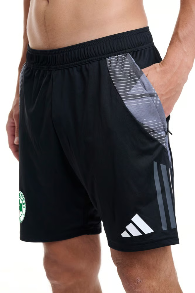 Herren Panathinaikos FC 2024/25 Drittes Authentisches Trainingsshorts