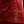 Portugal "A Seleção" Euro Edition Trikot 2024 – Bild 5