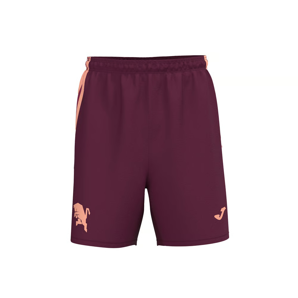 Herren Torino 2024/25 Dritte Authentisches Trainingsshorts