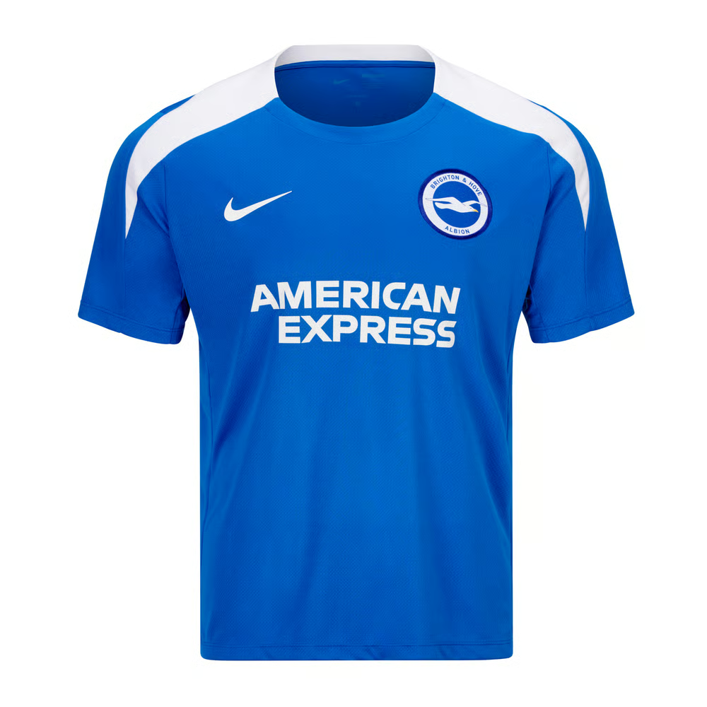 Herren Brighton & Hove Albion 2024/25 Dritttrikot Warm-Up - Blau