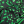 Nigeria Auswärtstrikot 2024 – Bild 9