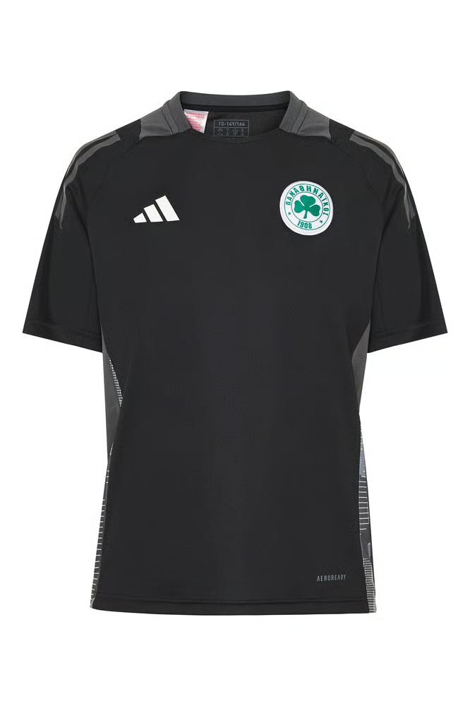 Damen Panathinaikos FC 2024/25 Drittes Authentisches Trainingsshirt - Schwarz