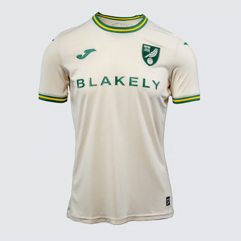 Herren Norwich City 2024/25 Dritteltrikot