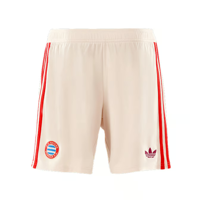 Herren Bayern München 2024/25 Dritte Authentische UCL Shorts