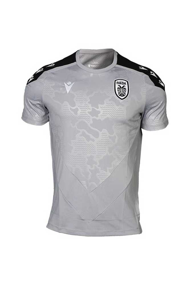 Damen PAOK FC 2024/25 Drittes Authentisches Trainingsshirt - Grau