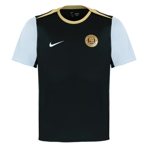 Herren Toulouse FC 2024/25 Drittes Authentisch Training Trikot