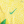 Kinder Brasilien Heimtrikot+Kurze Hosen Copa America 2024 – Bild 10