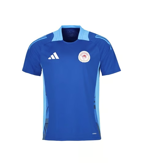 Damen Olympiacos FC 2024/25 Drittes Authentisches Trainingsshirt - Blau