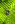 Herren Sporting CP 2023/24 Drittes Aufwärmtrikot – Bild 4