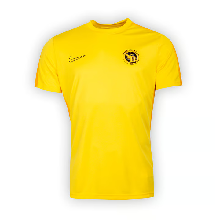 Damen BSC Young Boys 2023/24 Drittes Authentisches Trainings Shirt