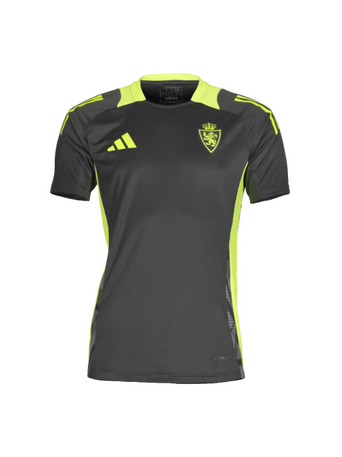 Damen Real Zaragoza 2024/25 Dritt Authentisches Trainingsshirt - Grau
