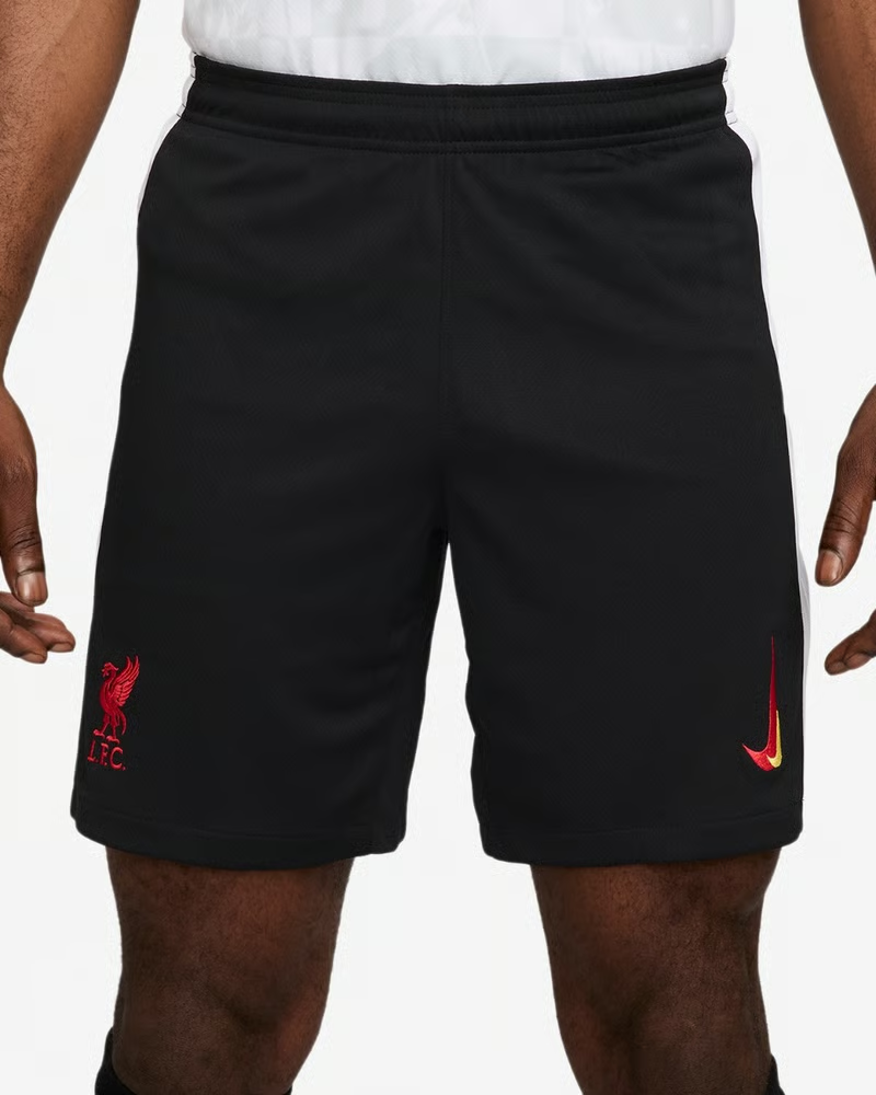 Herren Liverpool 2024/25 Drittes Shorts