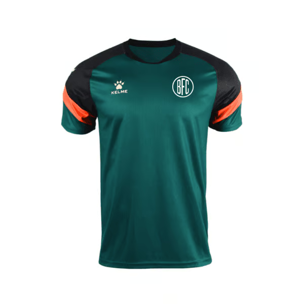 Damen Boavista FC 2024/25 Drittes Authentisches Trainingstrikot - Grün