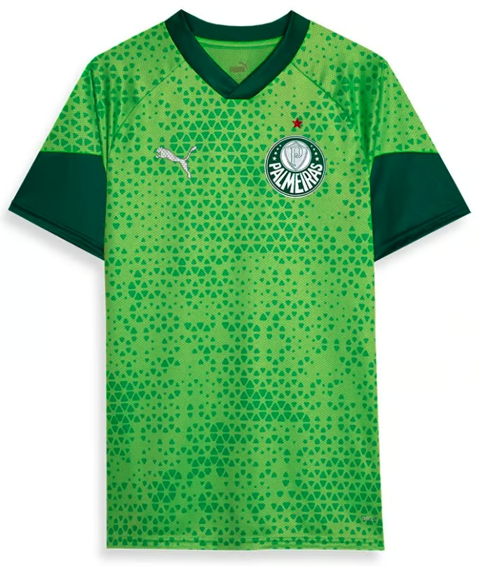 Damen Palmeiras 2024 Dritt Authentisches Trainingsshirt