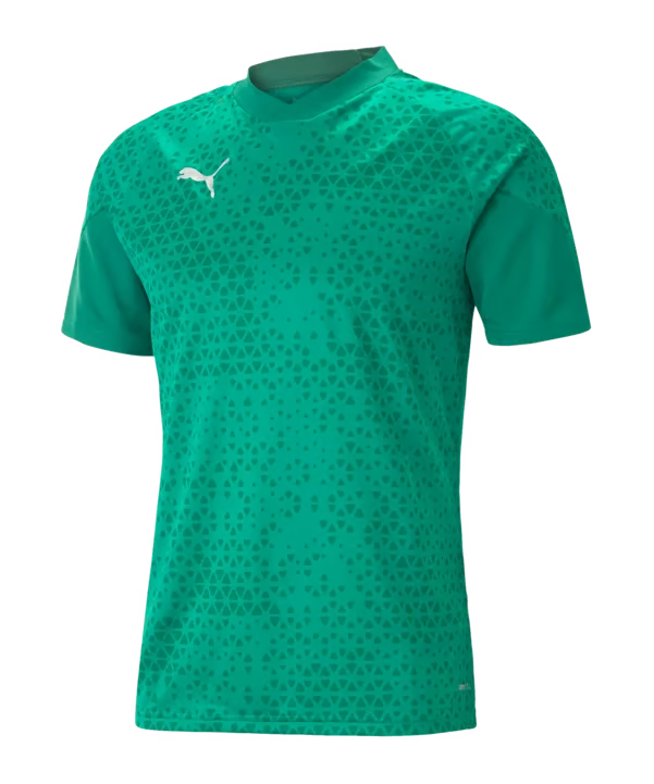 Damen FC St. Gallen 1879 2024/25 Drittes Authentisches Team Cup Trainings-Shirt