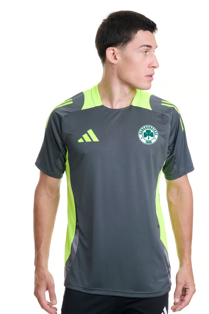 Damen Panathinaikos FC 2024/25 Drittes Authentisches Trainingsshirt - Grau