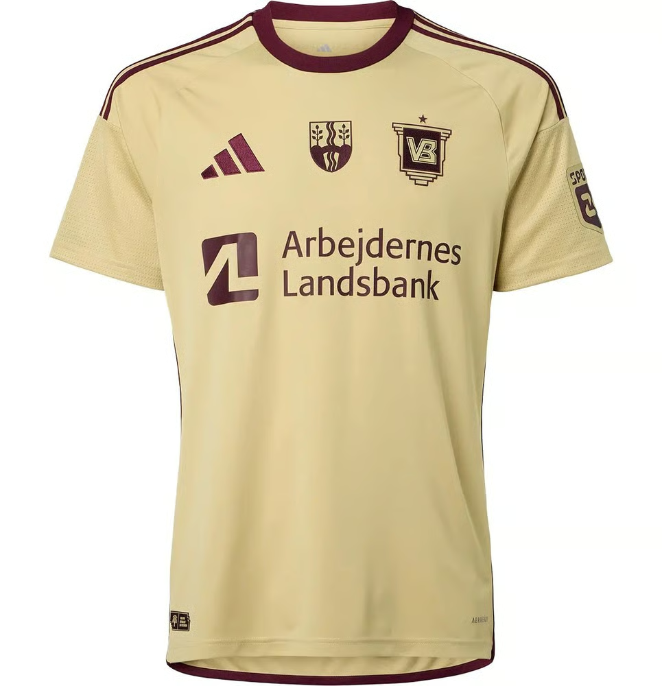 Damen Vejle BK 2024/25 Sondertrikot