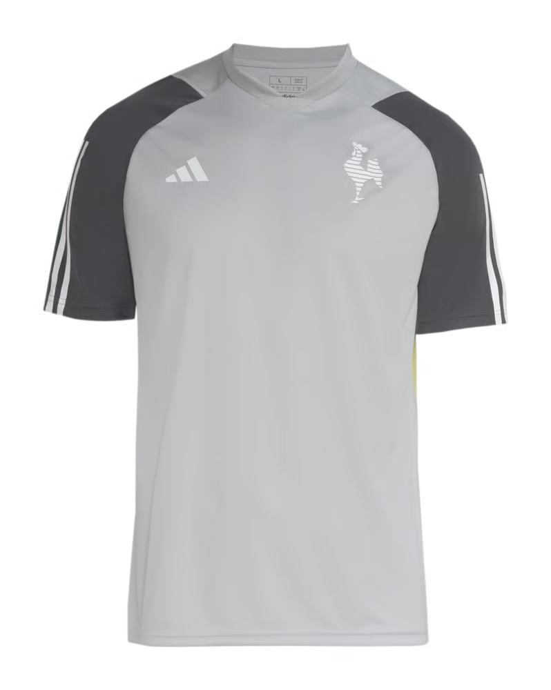 Damen Atlético Mineiro 2024 Dritt Authentisches Trainingsshirt - Grau