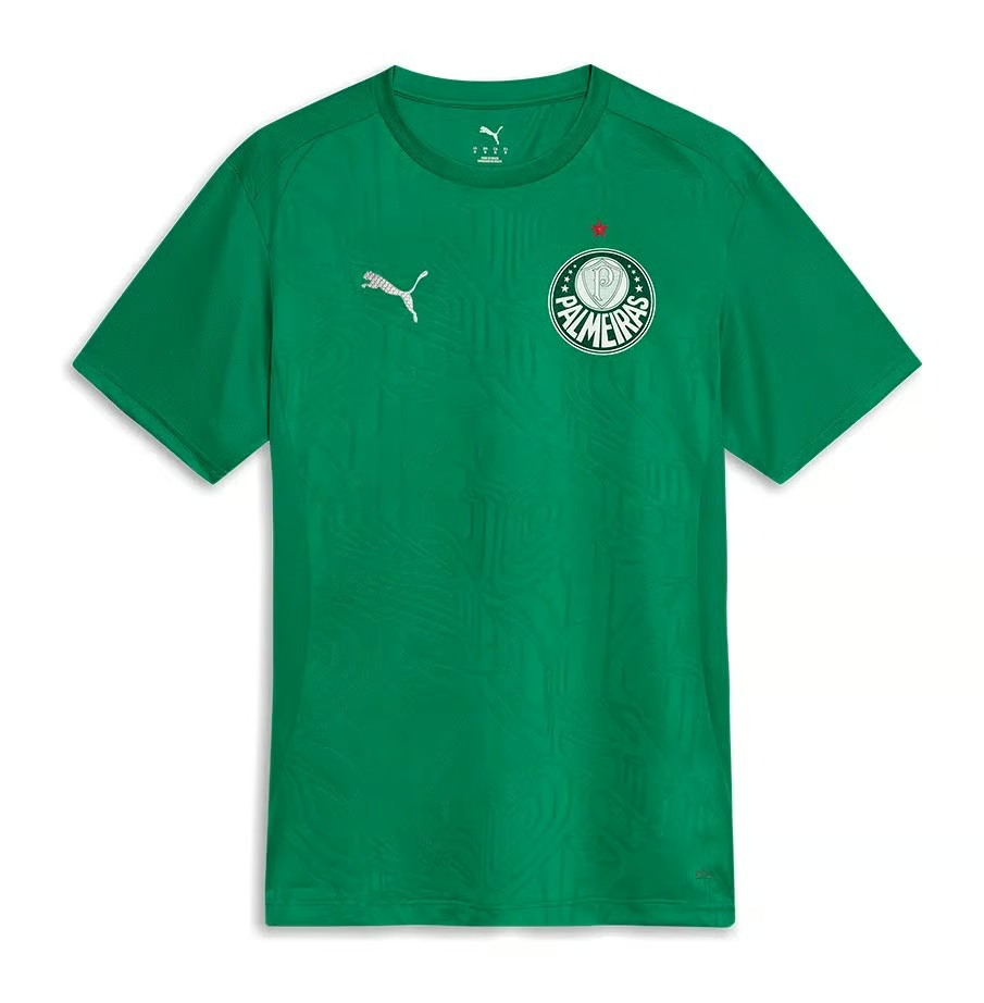 Damen Palmeiras 2025 Dritt Authentisches Trainingsshirt