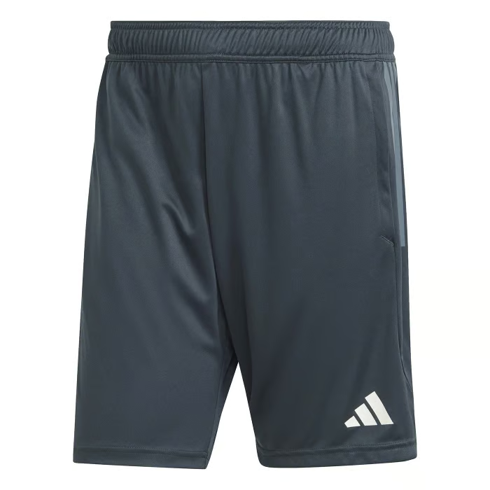 Herren Juventus 2023/24 Dritte Authentische UCL Trainingsshorts