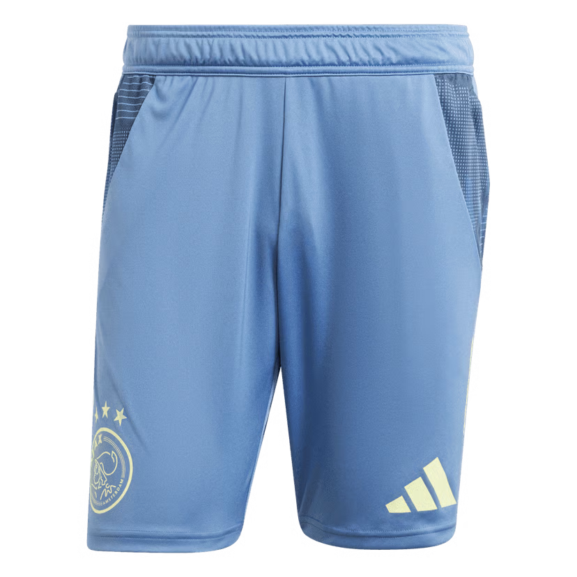 Herren Ajax 2024/25 Dritt Authentische Trainingsshorts