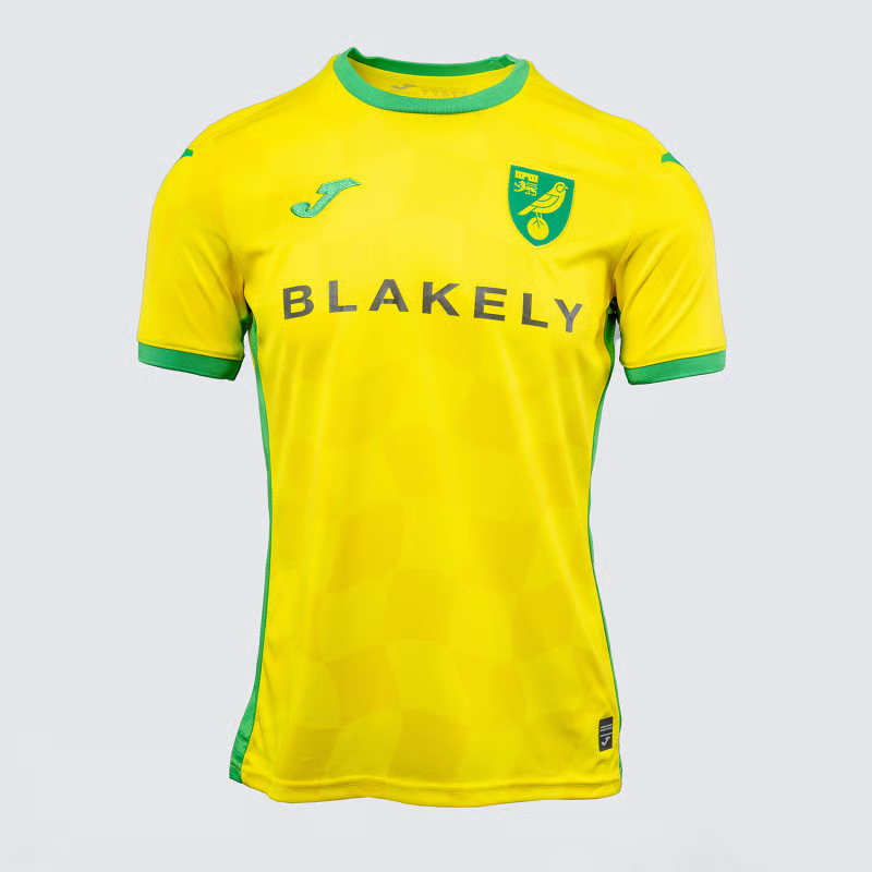 Herren Norwich City 2024/25 Heimtrikot
