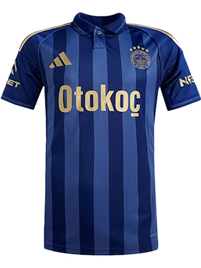 Herren Fenerbahce 2025/26 Ausweichtrikot